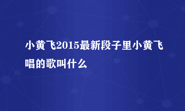 小黄飞2015最新段子里小黄飞唱的歌叫什么