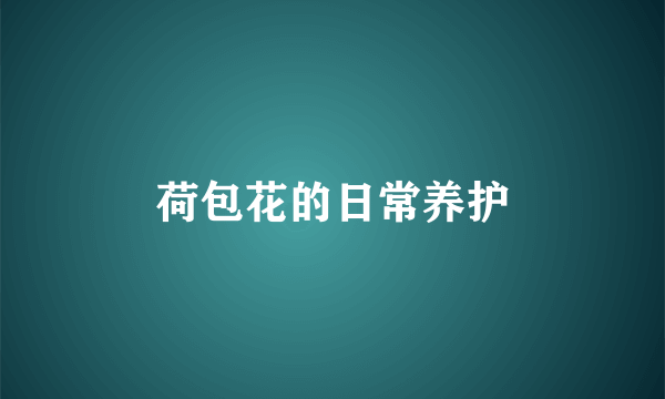 荷包花的日常养护