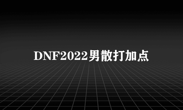 DNF2022男散打加点