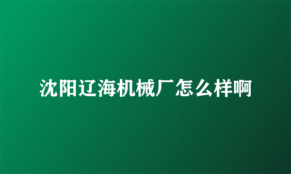 沈阳辽海机械厂怎么样啊