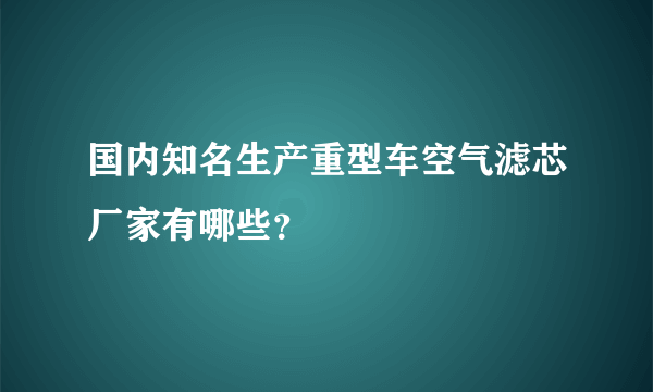 国内知名生产重型车空气滤芯厂家有哪些？