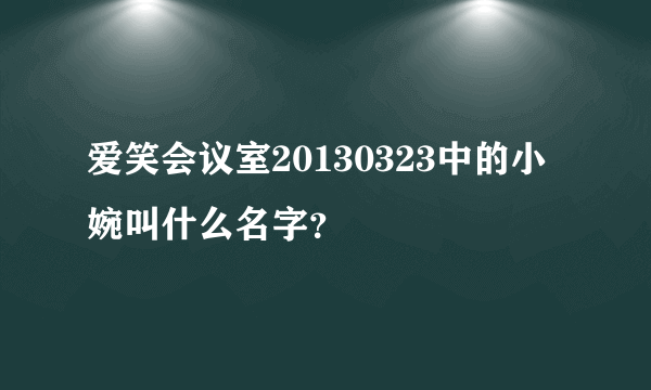 爱笑会议室20130323中的小婉叫什么名字？