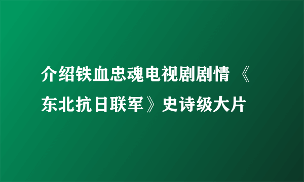 介绍铁血忠魂电视剧剧情 《东北抗日联军》史诗级大片