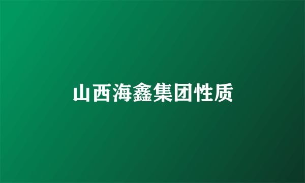 山西海鑫集团性质