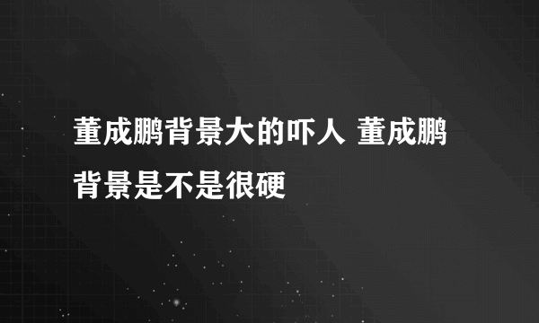 董成鹏背景大的吓人 董成鹏背景是不是很硬
