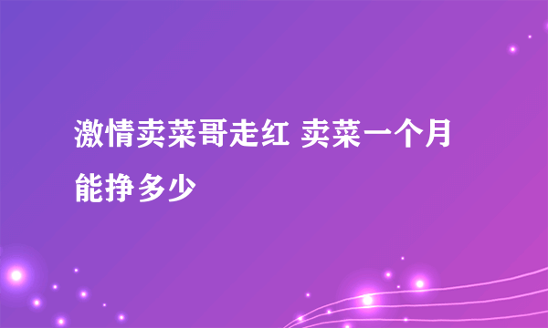 激情卖菜哥走红 卖菜一个月能挣多少