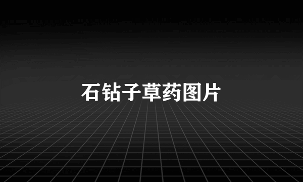石钻子草药图片