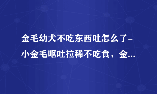 金毛幼犬不吃东西吐怎么了-小金毛呕吐拉稀不吃食，金毛拉稀呕吐不吃食物是怎么办了？