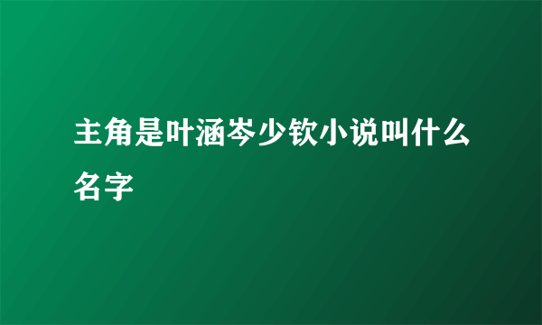 主角是叶涵岑少钦小说叫什么名字
