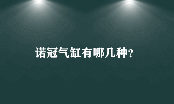 诺冠气缸有哪几种？
