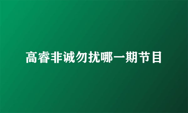 高睿非诚勿扰哪一期节目