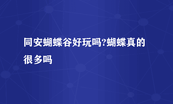 同安蝴蝶谷好玩吗?蝴蝶真的很多吗
