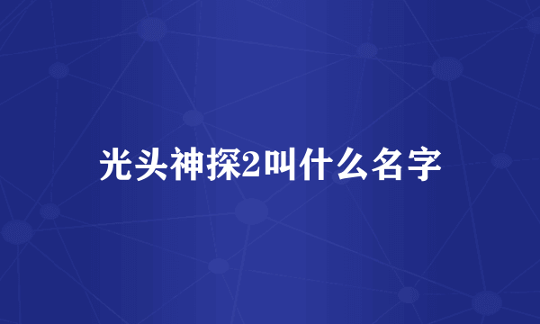 光头神探2叫什么名字