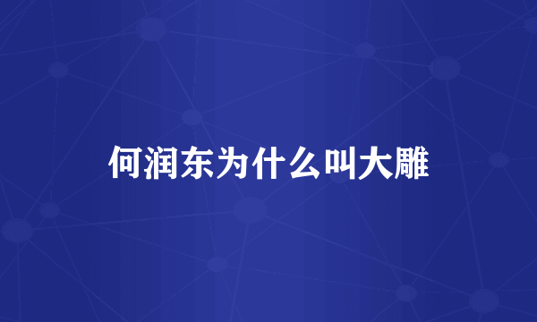 何润东为什么叫大雕