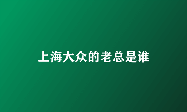 上海大众的老总是谁