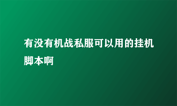有没有机战私服可以用的挂机脚本啊