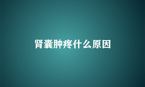 肾囊肿疼什么原因