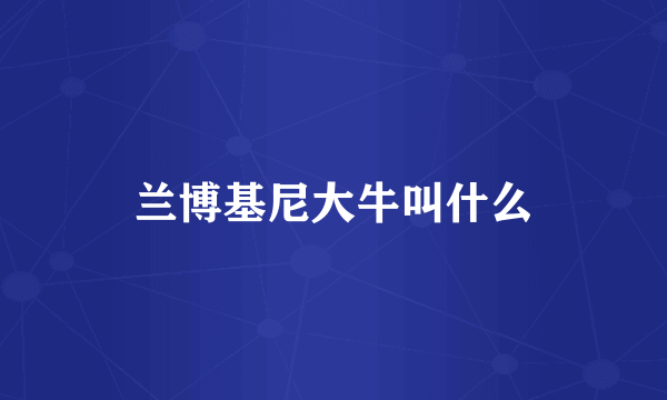 兰博基尼大牛叫什么