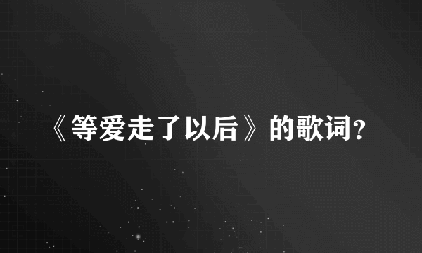 《等爱走了以后》的歌词？