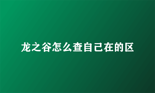龙之谷怎么查自己在的区