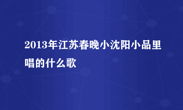 2013年江苏春晚小沈阳小品里唱的什么歌