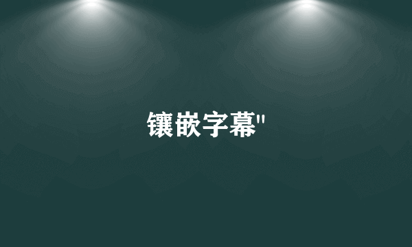 镶嵌字幕