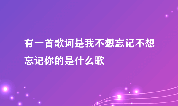有一首歌词是我不想忘记不想忘记你的是什么歌