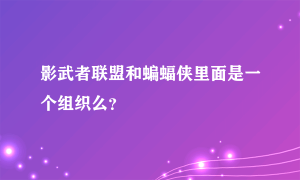 影武者联盟和蝙蝠侠里面是一个组织么？