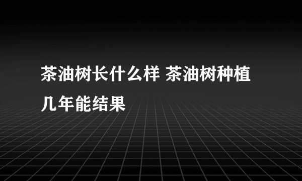 茶油树长什么样 茶油树种植几年能结果