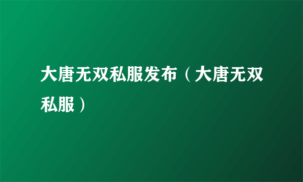 大唐无双私服发布（大唐无双私服）