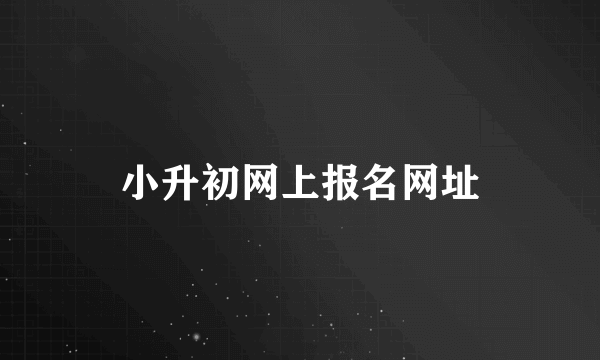 小升初网上报名网址