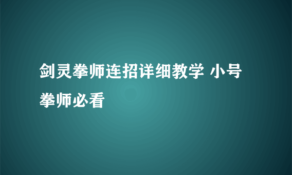 剑灵拳师连招详细教学 小号拳师必看