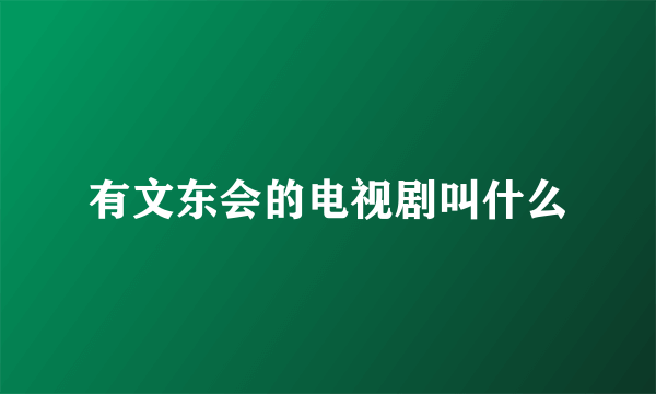 有文东会的电视剧叫什么