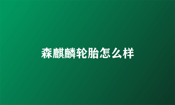 森麒麟轮胎怎么样
