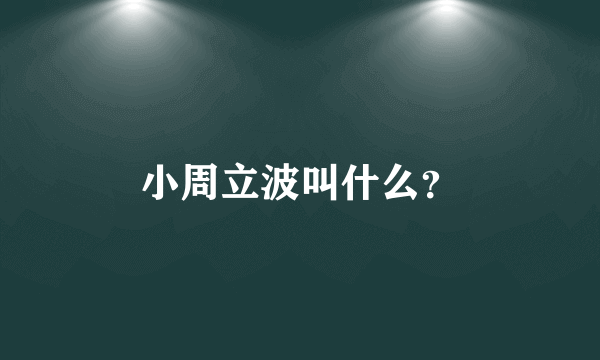 小周立波叫什么？