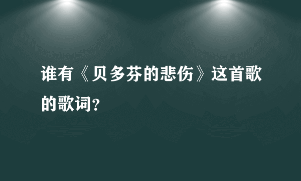谁有《贝多芬的悲伤》这首歌的歌词？