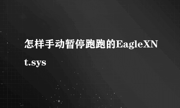 怎样手动暂停跑跑的EagleXNt.sys