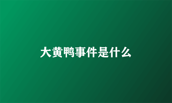 大黄鸭事件是什么