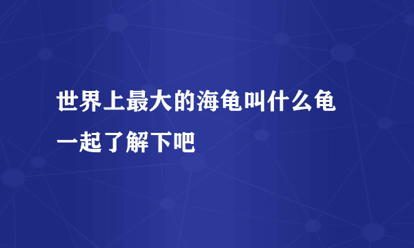 世界上最大的海龟叫什么龟 一起了解下吧