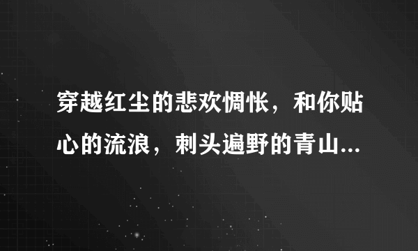 穿越红尘的悲欢惆怅，和你贴心的流浪，刺头遍野的青山和荒凉，....这是什么歌？拜托了请告诉我一下。