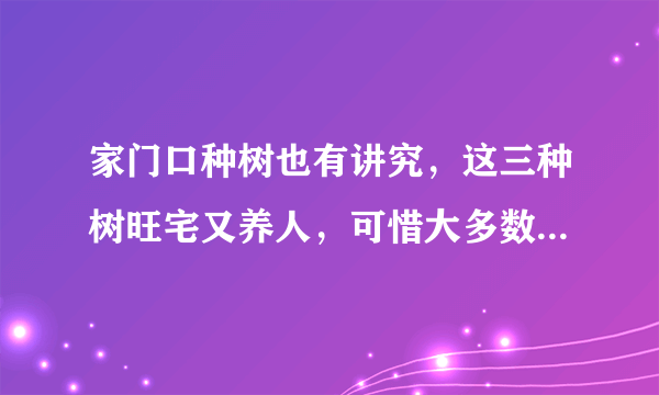 家门口种树也有讲究，这三种树旺宅又养人，可惜大多数人都不知道