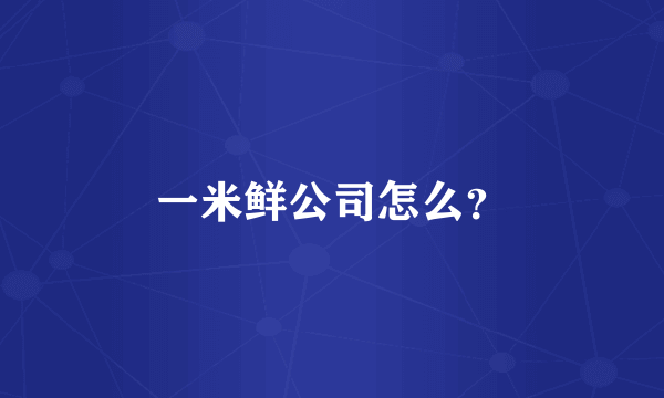 一米鲜公司怎么？