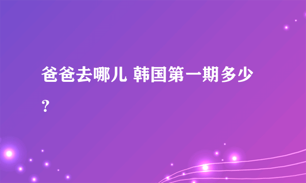 爸爸去哪儿 韩国第一期多少？