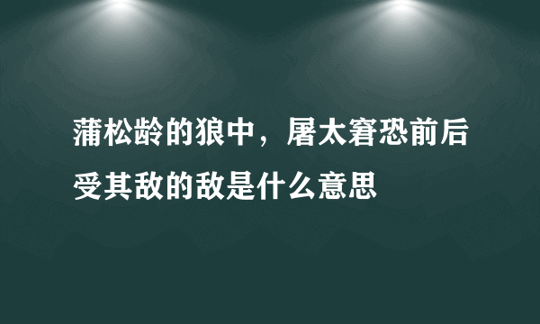 蒲松龄的狼中，屠太窘恐前后受其敌的敌是什么意思