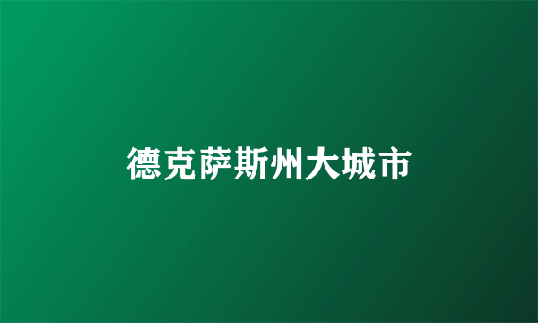 德克萨斯州大城市