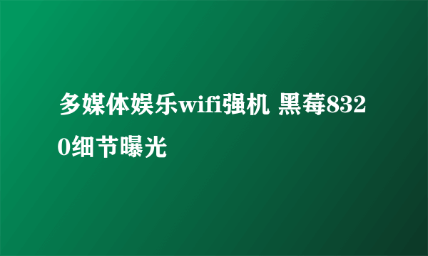 多媒体娱乐wifi强机 黑莓8320细节曝光