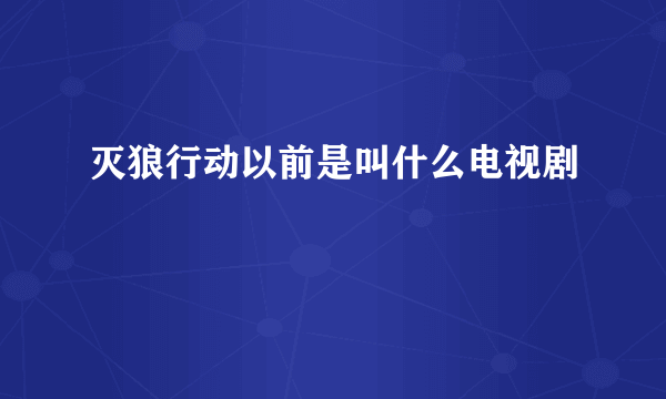 灭狼行动以前是叫什么电视剧
