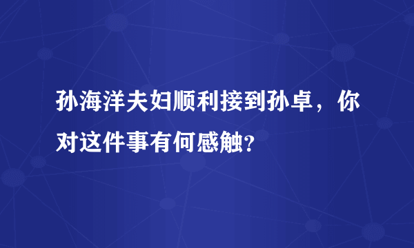 孙海洋夫妇顺利接到孙卓，你对这件事有何感触？