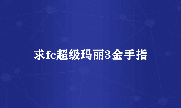 求fc超级玛丽3金手指
