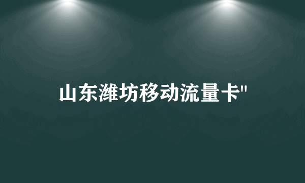 山东潍坊移动流量卡